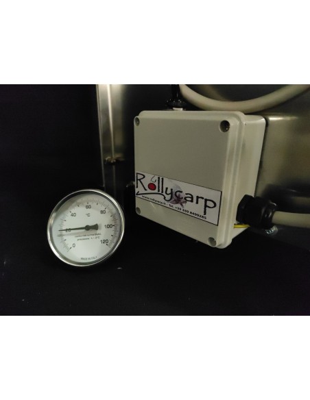 Small Electric Steamer 2000w