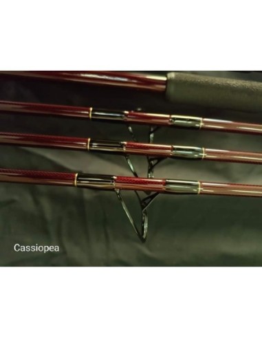 Cassiopea-101 Rod 12"